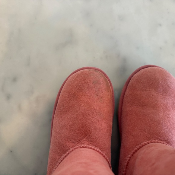 Bailey Bow - Picture 5 of 7